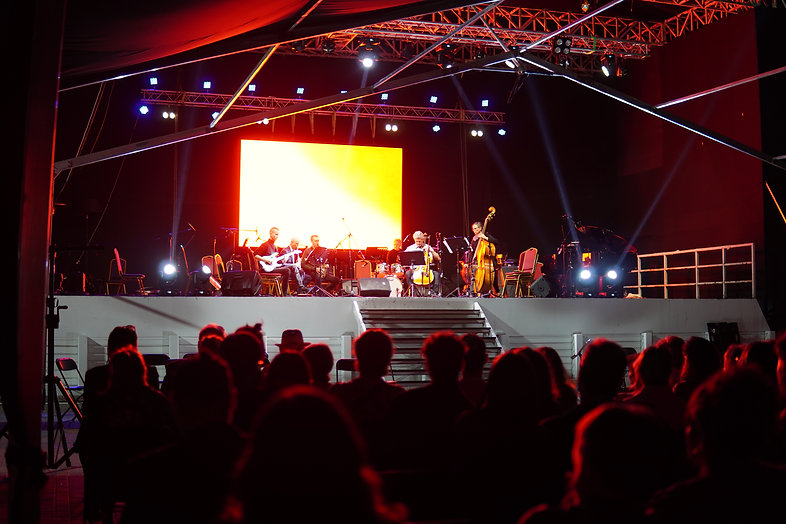 Festival de Tarapacá — Vista general