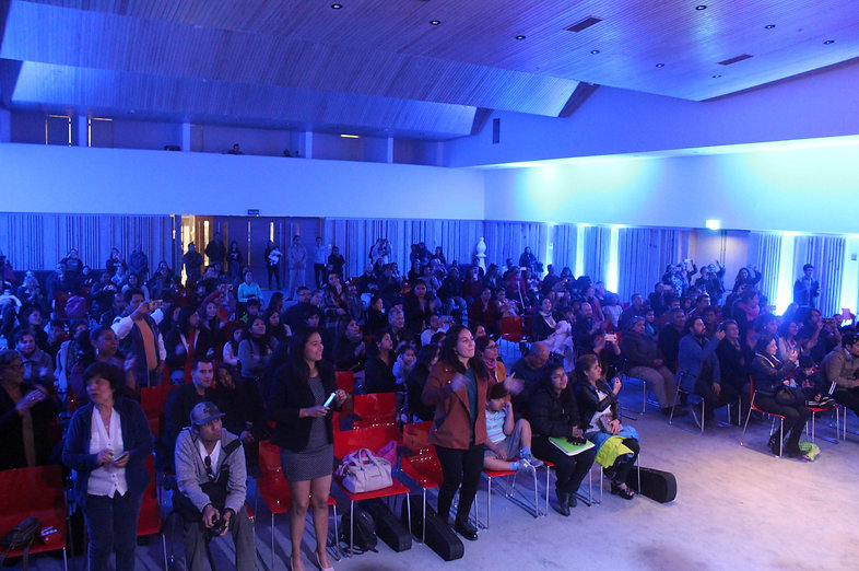 Festival de Tarapacá — Imagen 5